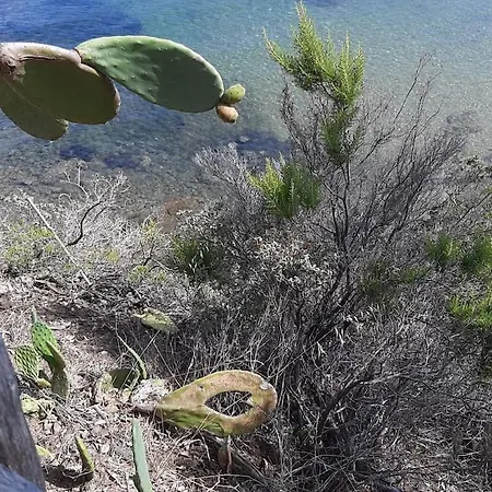 Casa Perla Iridella - Oleandro Semesterbostad